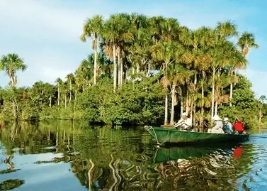 Entdecken Sie die Tambopata Jungle 3D2N Tour