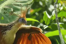 Sandoval Lake 4D3N Touren