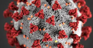 아레키파 여행자를 위한 COVID-19 항원 테스트