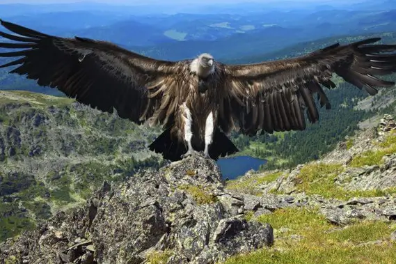 푸노 출발 2D 1N 콜카 캐년 투어 + 아레키파로 이동