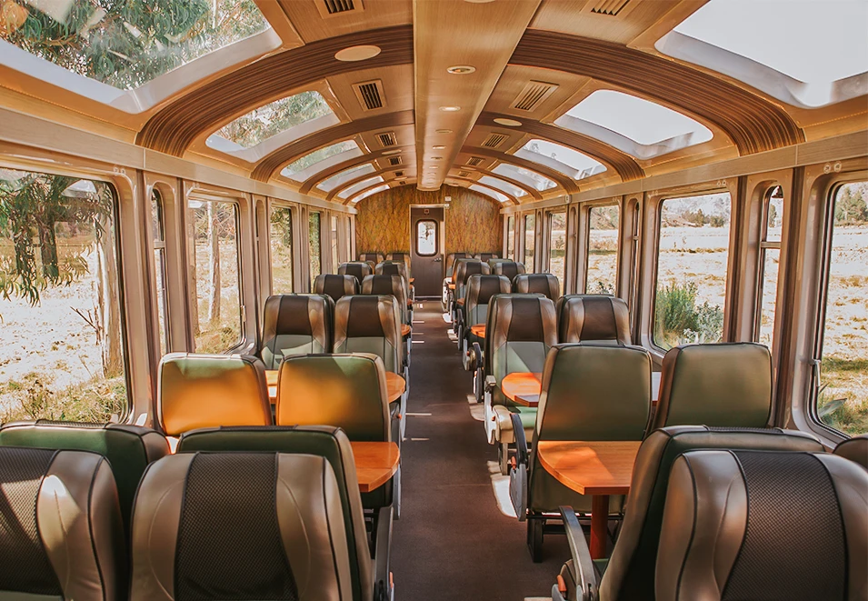 Treno PeruRail Vistadome con vista panoramica su Machu Picchu